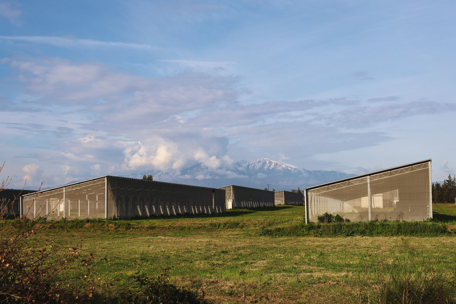 Ensemble de serres photovoltaïques closes dédiées à la production de plantes aromatiques fraîches à Elne