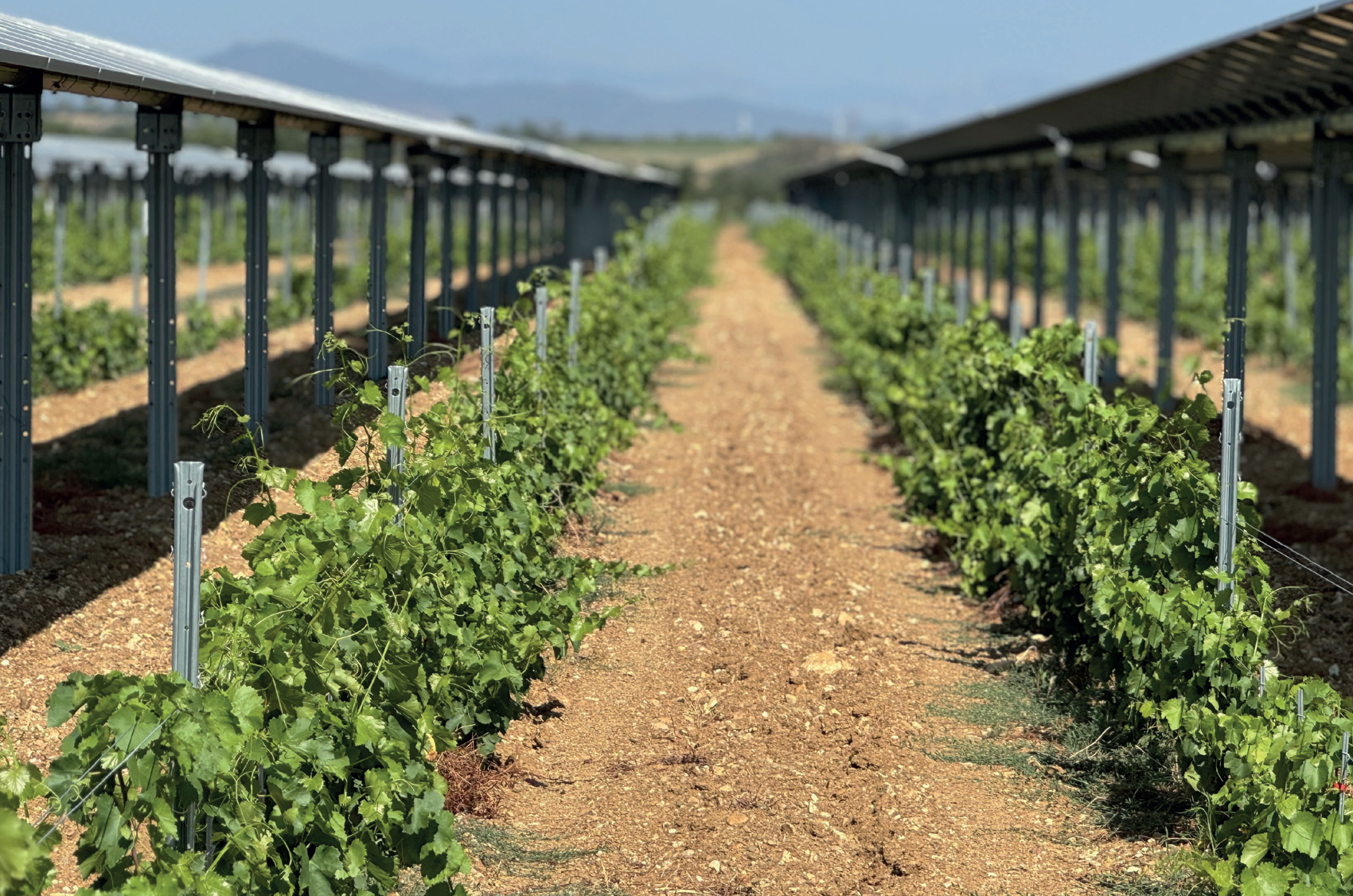 Projets de vignes sous ombrières dynamiques de type trackers